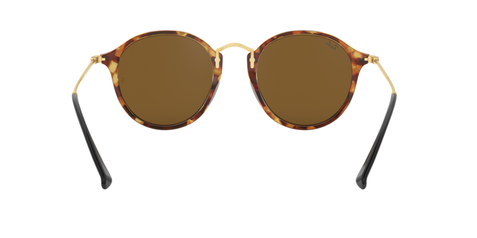 Ray-Ban Round Sunglasses RB2447 1160