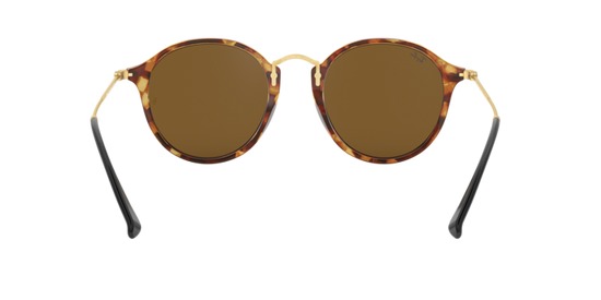 Ray-Ban Round Sunglasses RB2447 1160