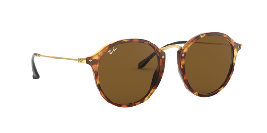 Ray-Ban Round Sunglasses RB2447 1160