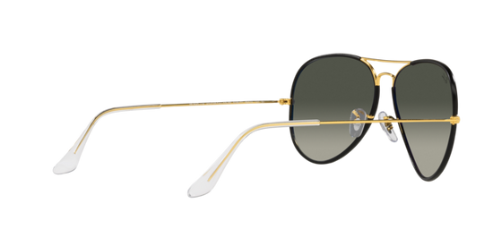 Ray-Ban Aviator Full Color Sunglasses RB3025JM 919671