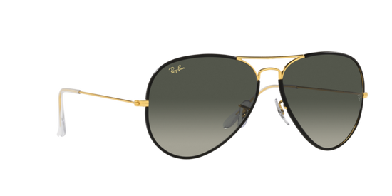 Ray-Ban Aviator Full Color Sunglasses RB3025JM 919671