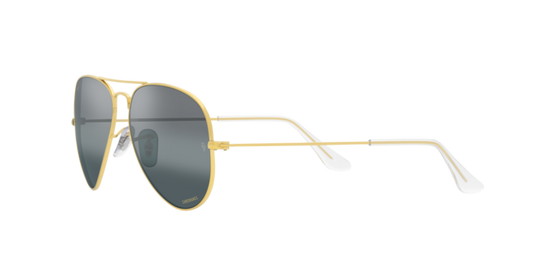 Ray-Ban Aviator Large Metal Sunglasses RB3025 9196G6