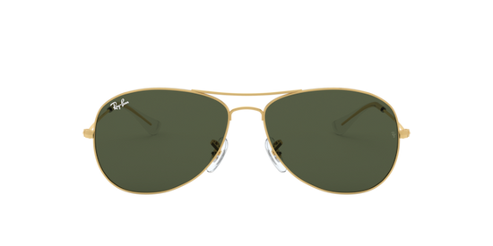 Ray-Ban Cockpit Sunglasses RB3362 112/4T