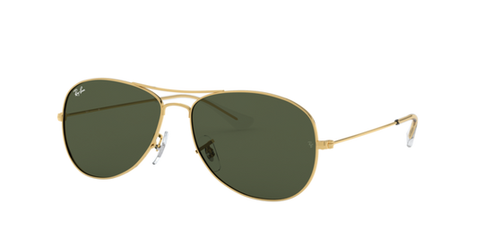 Ray-Ban Cockpit Sunglasses RB3362 001