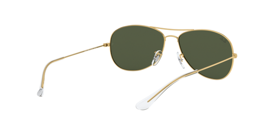 Ray-Ban Cockpit Sunglasses RB3362 112/4T