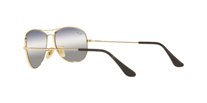 Ray-Ban Cockpit Sunglasses RB3362 001/GF