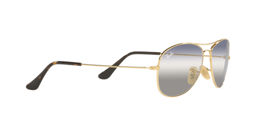 Ray-Ban Cockpit Sunglasses RB3362 001/GF