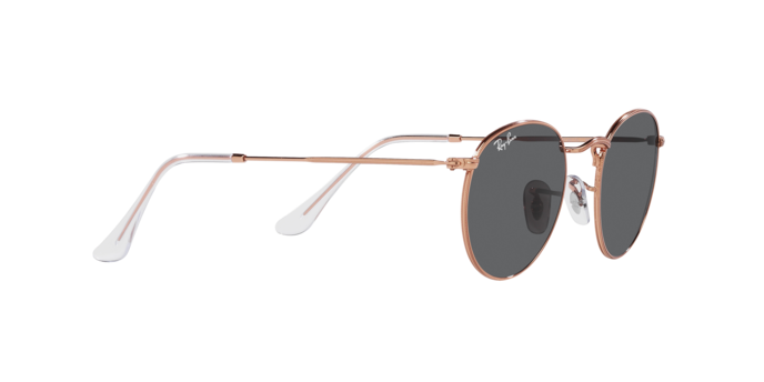 Ray-Ban Round Metal Sunglasses RB3447 9202B1