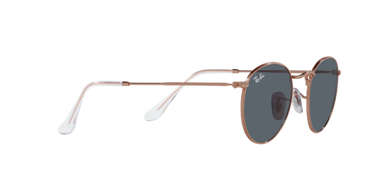 Ray-Ban Round Metal Sunglasses RB3447 9202R5