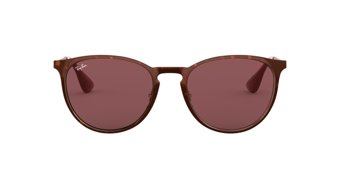 Ray-Ban Erika Metal Sunglasses RB3539 913375