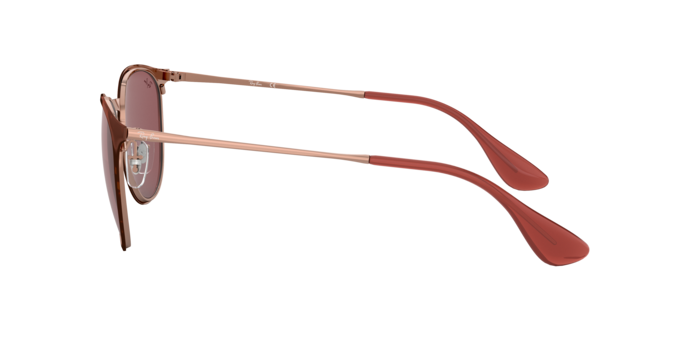 Ray-Ban Erika Metal Sunglasses RB3539 913375