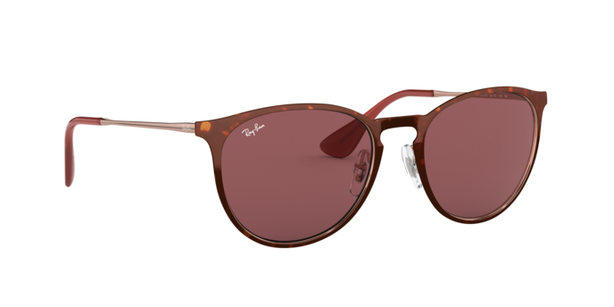 Ray-Ban Erika Metal Sunglasses RB3539 913375