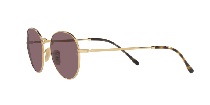 Ray-Ban David Sunglasses RB3582 001/AF