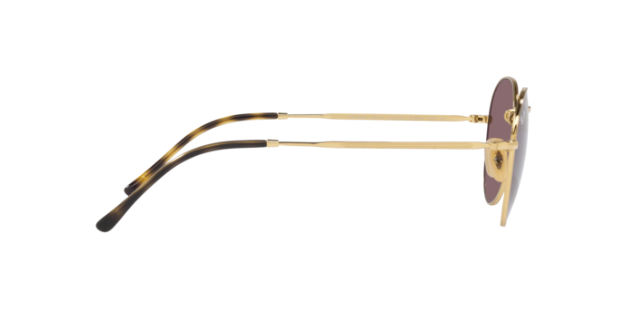 Ray-Ban David Sunglasses RB3582 001/AF