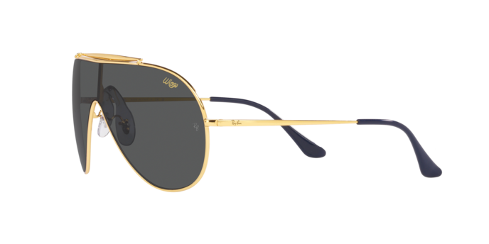 Ray-Ban Wings Sunglasses RB3597 924687