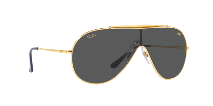 Ray-Ban Wings Sunglasses RB3597 924687