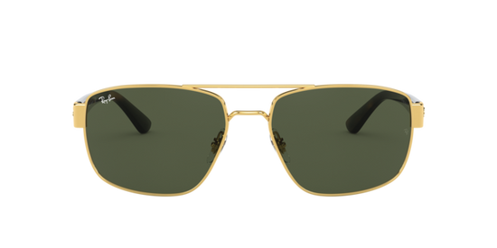 Ray-Ban Sunglasses RB3663 001/31