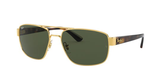 Ray-Ban Sunglasses RB3663 001/31