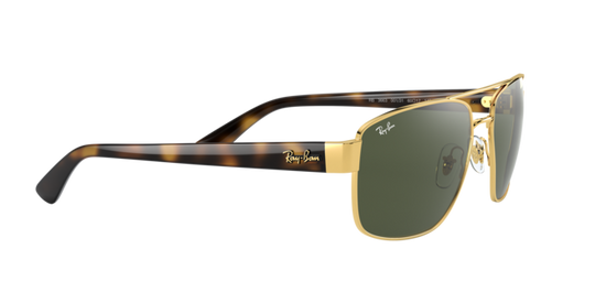 Ray-Ban Sunglasses RB3663 001/31