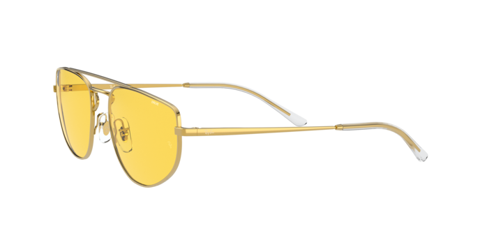 Ray-Ban Sunglasses RB3668 001/Q4