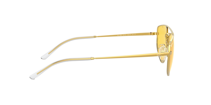 Ray-Ban Sunglasses RB3668 001/Q4