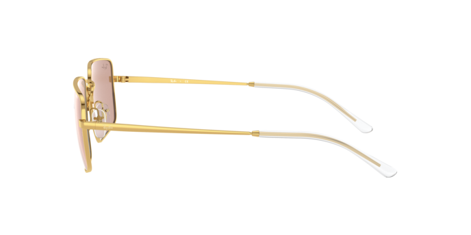 Ray-Ban Sunglasses RB3669 001/Q4