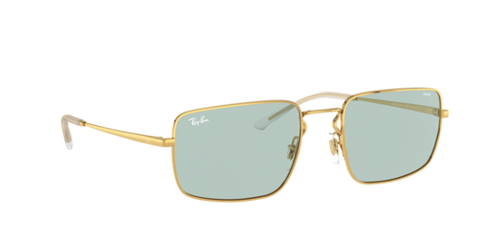 Ray-Ban Sunglasses RB3669 001/Q5