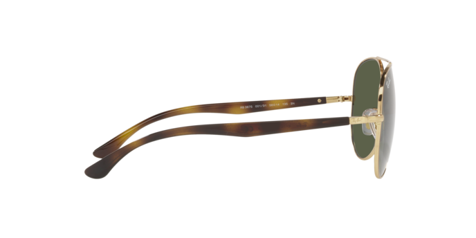 Ray-Ban Sunglasses RB3675 001/31