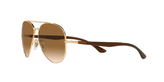 Ray-Ban Sunglasses RB3675 001/51