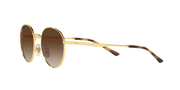Ray-Ban Sunglasses RB3681 001/13
