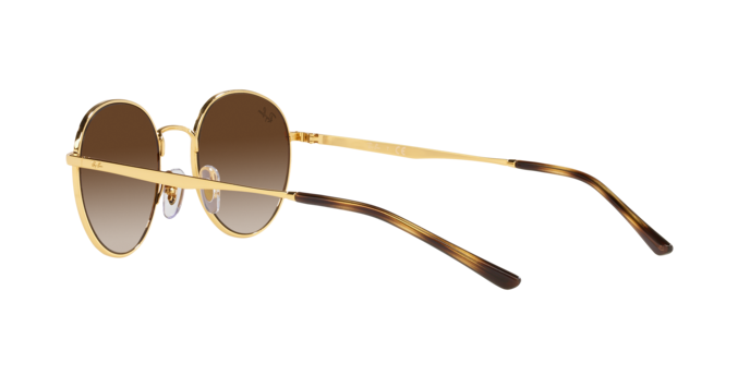 Ray-Ban Sunglasses RB3681 001/13