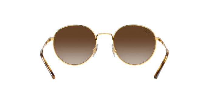 Ray-Ban Sunglasses RB3681 001/13