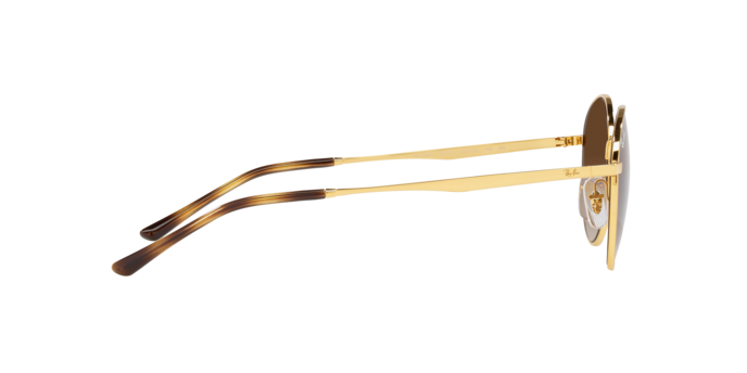 Ray-Ban Sunglasses RB3681 001/13