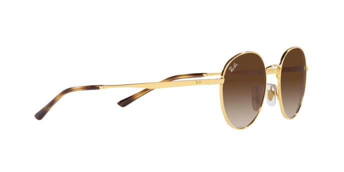 Ray-Ban Sunglasses RB3681 001/13