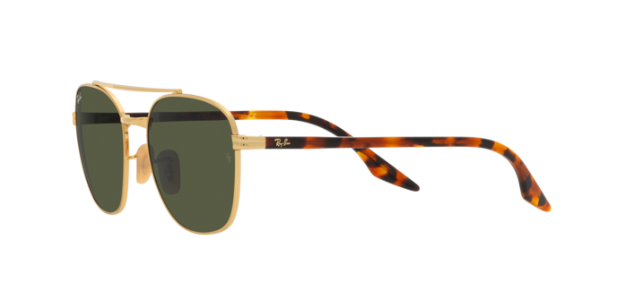 Ray-Ban Sunglasses RB3688 001/31