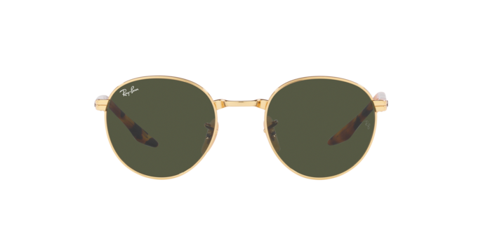Ray-Ban Sunglasses RB3691 001/31