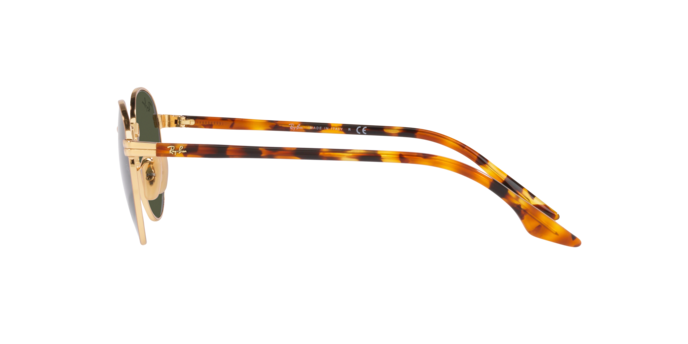 Ray-Ban Sunglasses RB3691 001/31