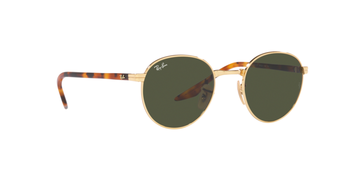 Ray-Ban Sunglasses RB3691 001/31