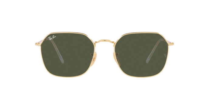 Ray-Ban Jim Sunglasses RB3694 001/31