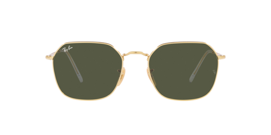 Ray-Ban Jim Sunglasses RB3694 001/31