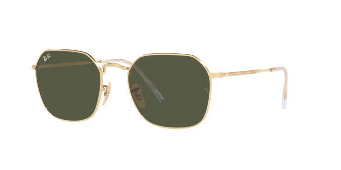 Ray-Ban Jim Sunglasses RB3694 001/31