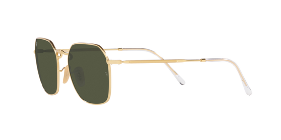 Ray-Ban Jim Sunglasses RB3694 001/31