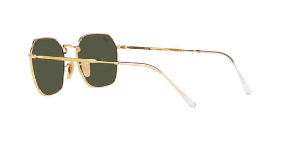 Ray-Ban Jim Sunglasses RB3694 001/31