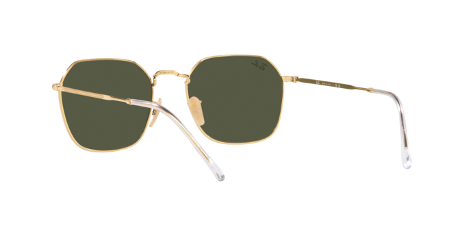 Ray-Ban Jim Sunglasses RB3694 001/31