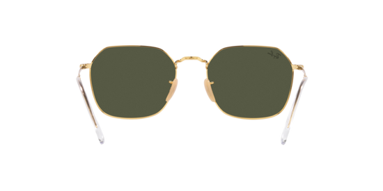 Ray-Ban Jim Sunglasses RB3694 001/31