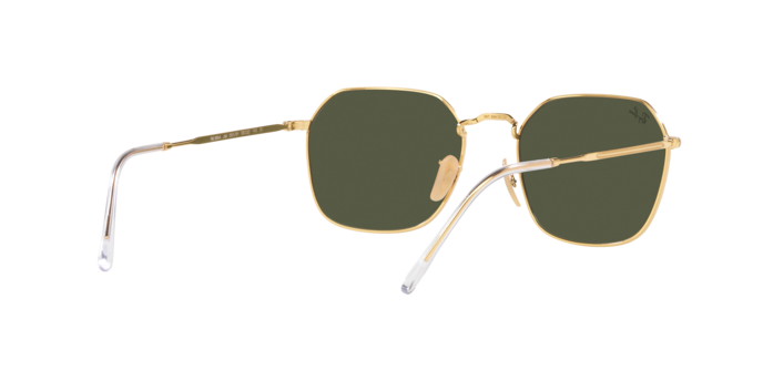 Ray-Ban Jim Sunglasses RB3694 001/31