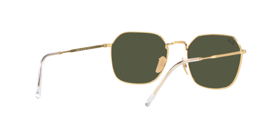 Ray-Ban Jim Sunglasses RB3694 001/31