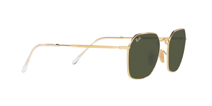 Ray-Ban Jim Sunglasses RB3694 001/31