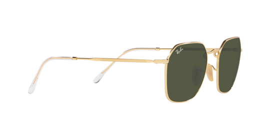 Ray-Ban Jim Sunglasses RB3694 001/31