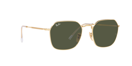 Ray-Ban Jim Sunglasses RB3694 001/31